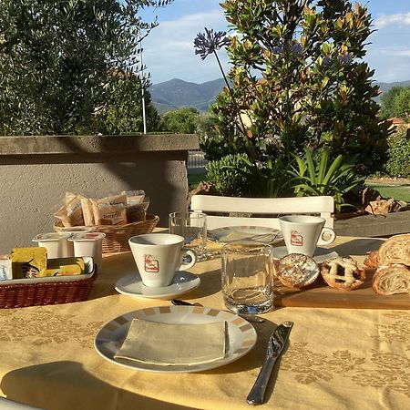 Villa Orsini - A Retreat In Pisa - Food And Relax מראה חיצוני תמונה