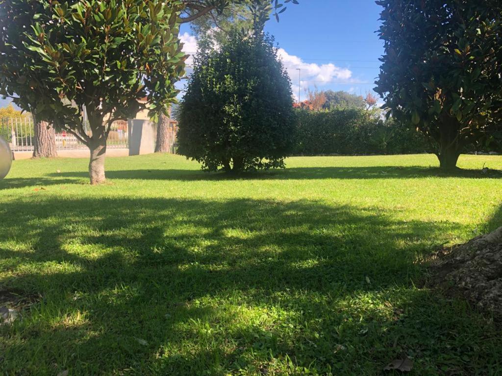 Villa Orsini - A Retreat In Pisa - Food And Relax מראה חיצוני תמונה